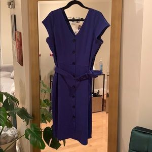Royal Blue Express Dress